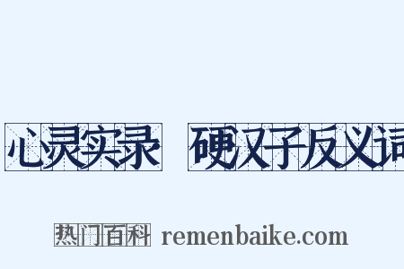 心灵实录·硬汉子反义词是什么意思的图片